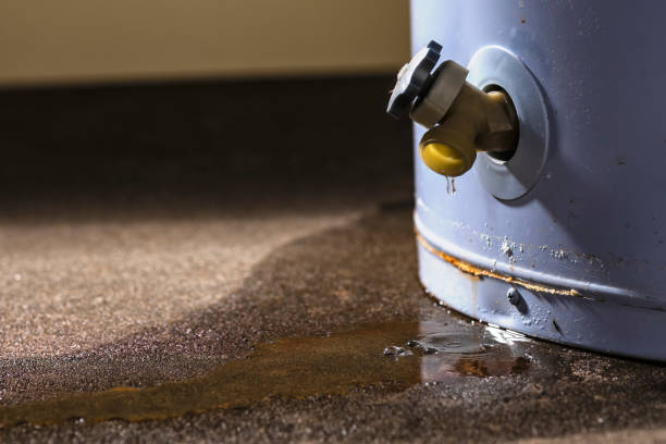 Best Water damage contractors near me  in Washoe Valley, NV