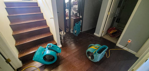 Best Basement water damage restoration  in Washoe Valley, NV
