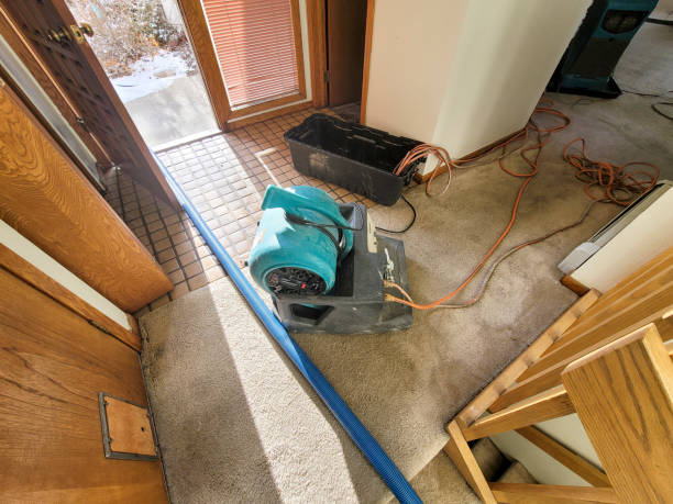 Reliable NV Water damage restoration Solutions