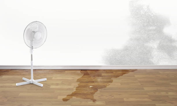 Best Water damage restoration company  in Washoe Valley, NV