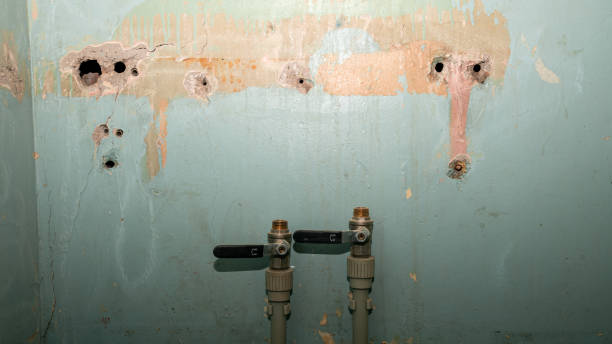 Best Ceiling water damage repair  in Washoe Valley, NV