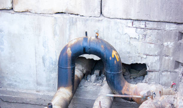 Best 24-hour water damage restoration  in Washoe Valley, NV